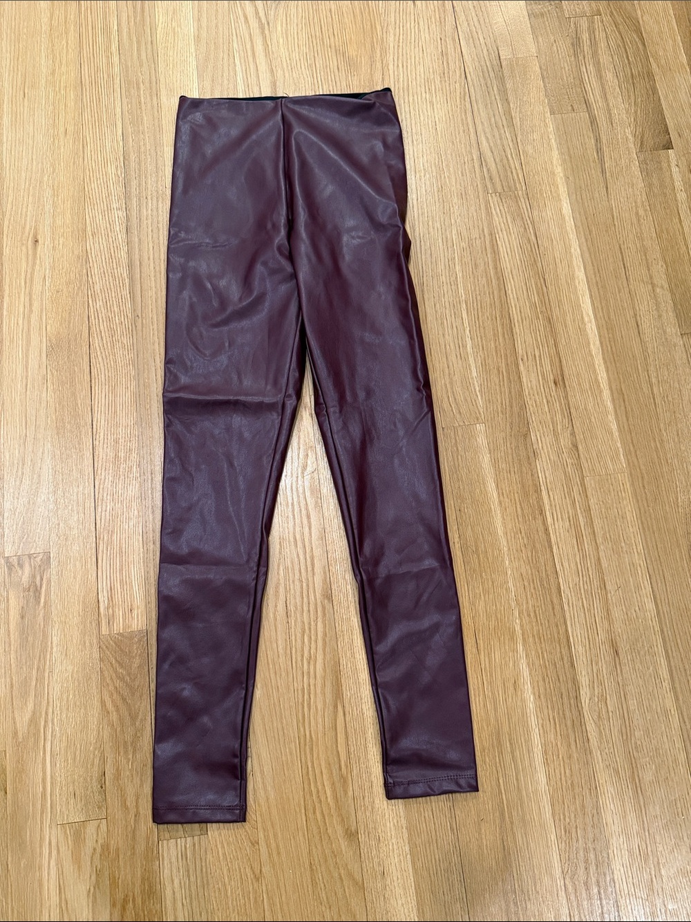 Aqua Faux Leather Leggings in Burgundy